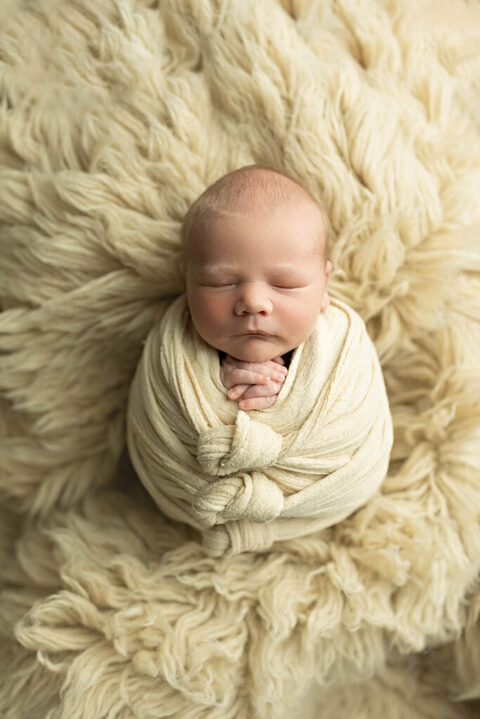 Salt Lake City newborn photographer baby wrapped in cream blanket studio portrait